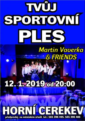 Sportovní ples 1